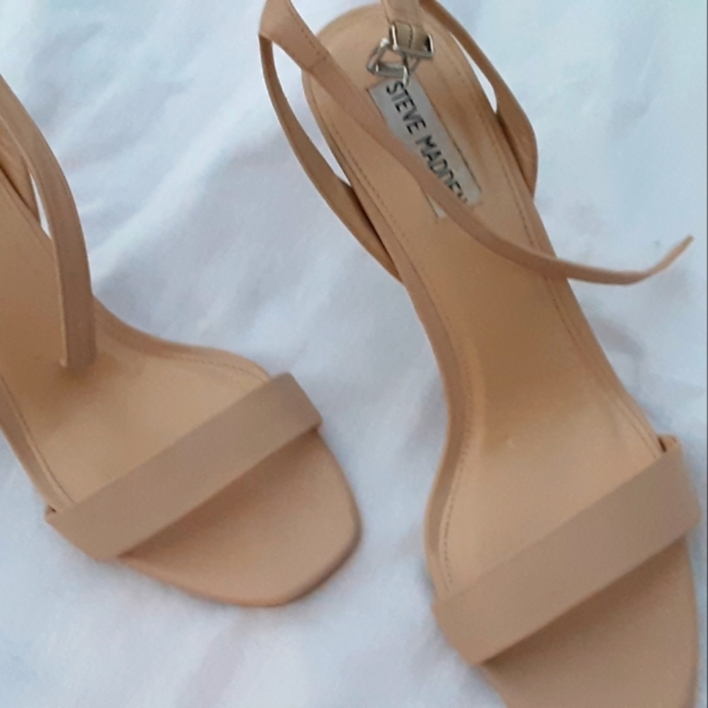 Steve Madden - Picture 7 of 8